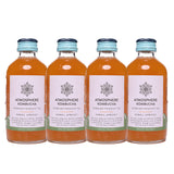 Kargil Apricot Kombucha