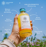 Malta Orange Kombucha