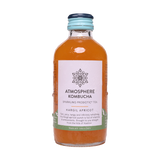 Kargil Apricot Kombucha