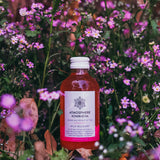 Wild Mulberry Kombucha  <DELHI MUMBAI BANGALORE HYDERABAD JAIPUR AND PUNE ONLY>