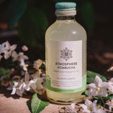 Elderflower Kombucha